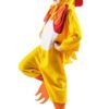 Pollo