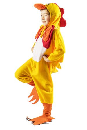Pollo