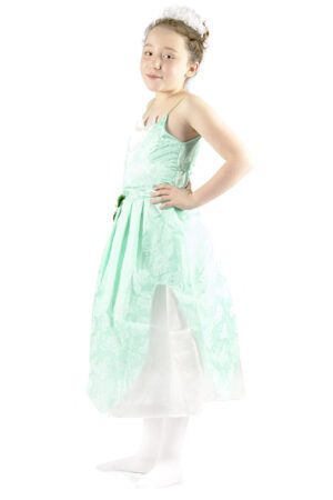 Princesa Tiana