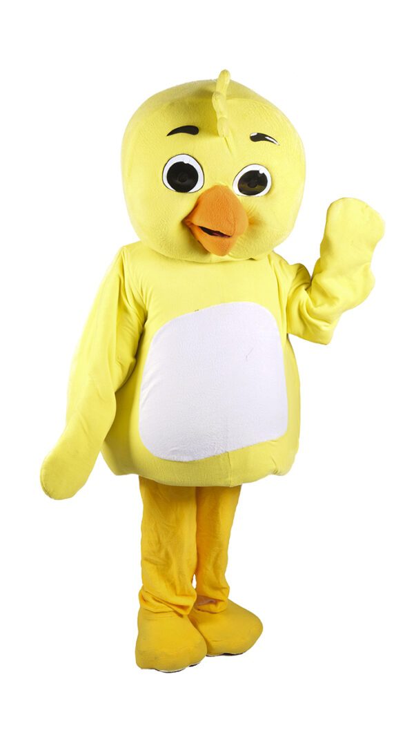 Pollito