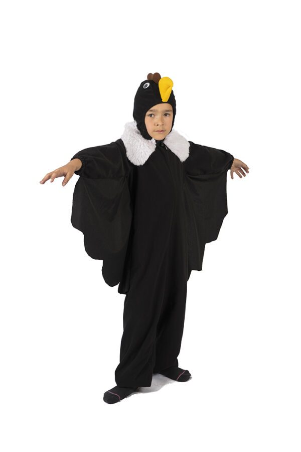Condor
