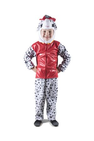 Marshall Paw Patrol