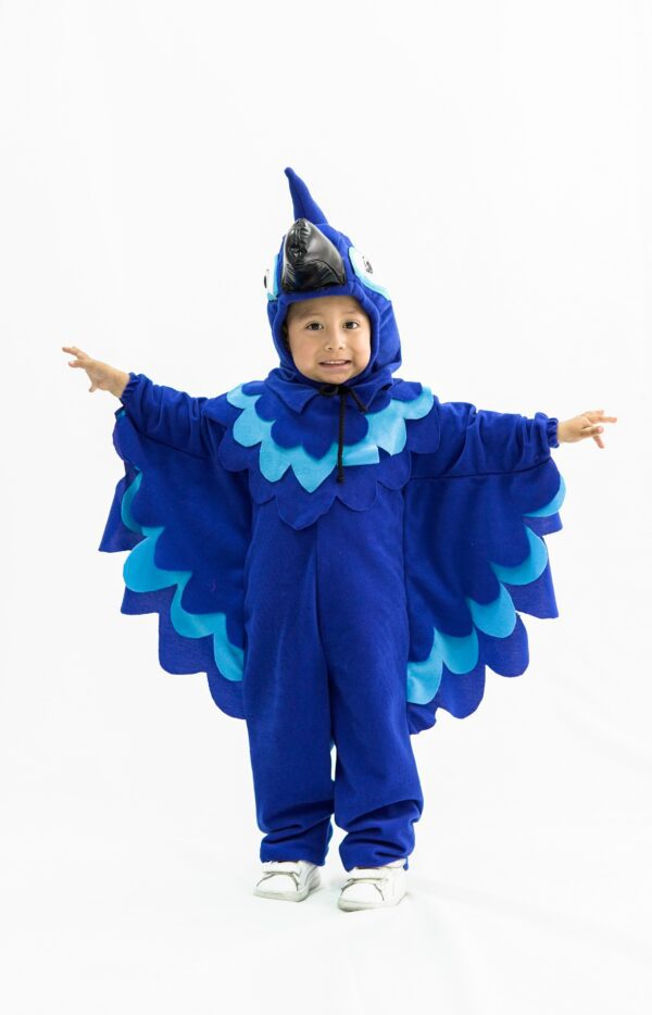 Pajaro azul blue