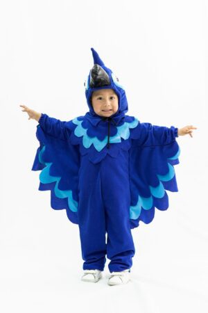 Pajaro azul blue