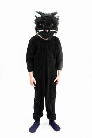 Gato negro