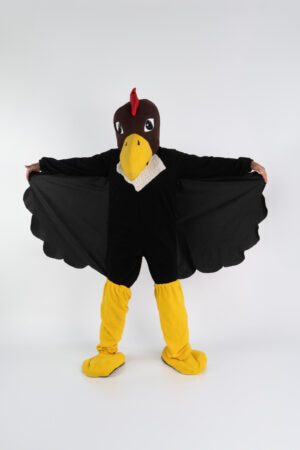 Condor