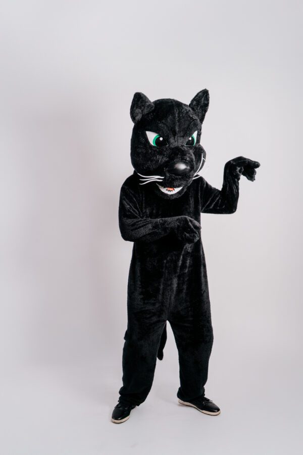 Gato Negro