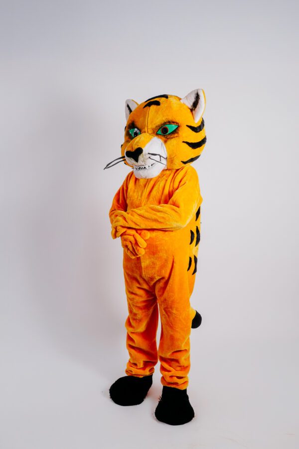 Tigre