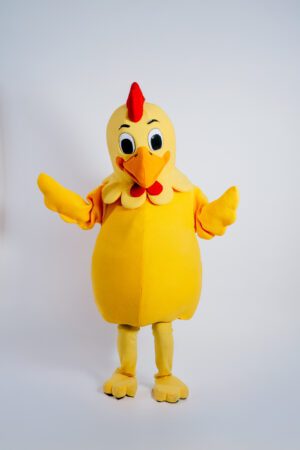 Pollito