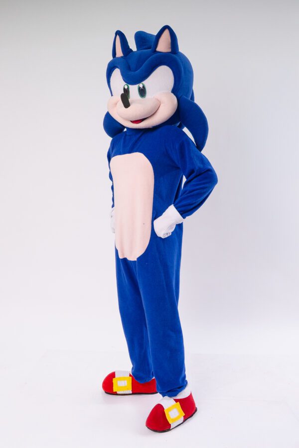 Sonic