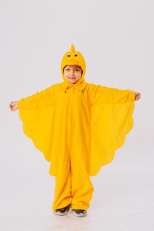 Pollo