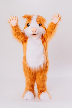 Cuy Niño