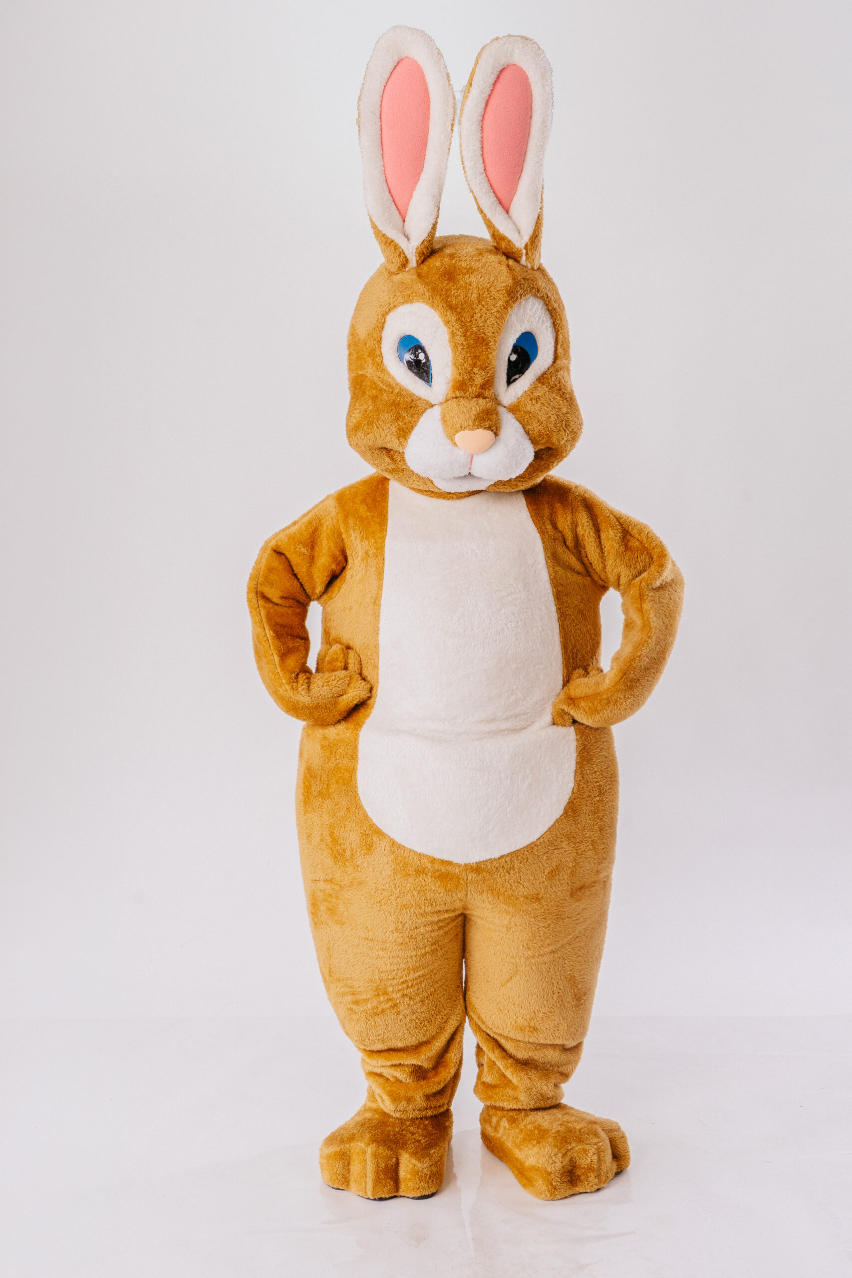 Conejo