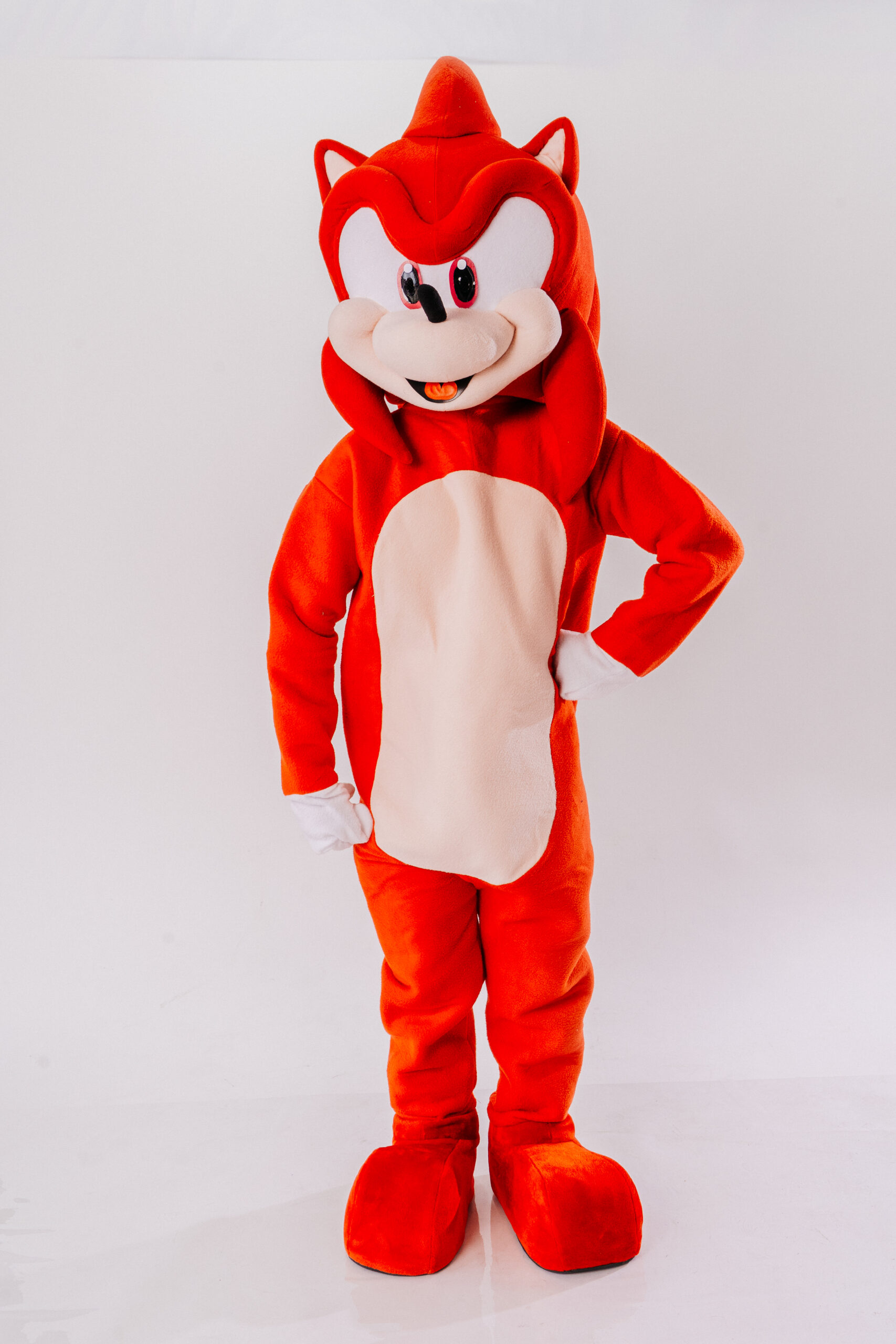 Sonic Fanon